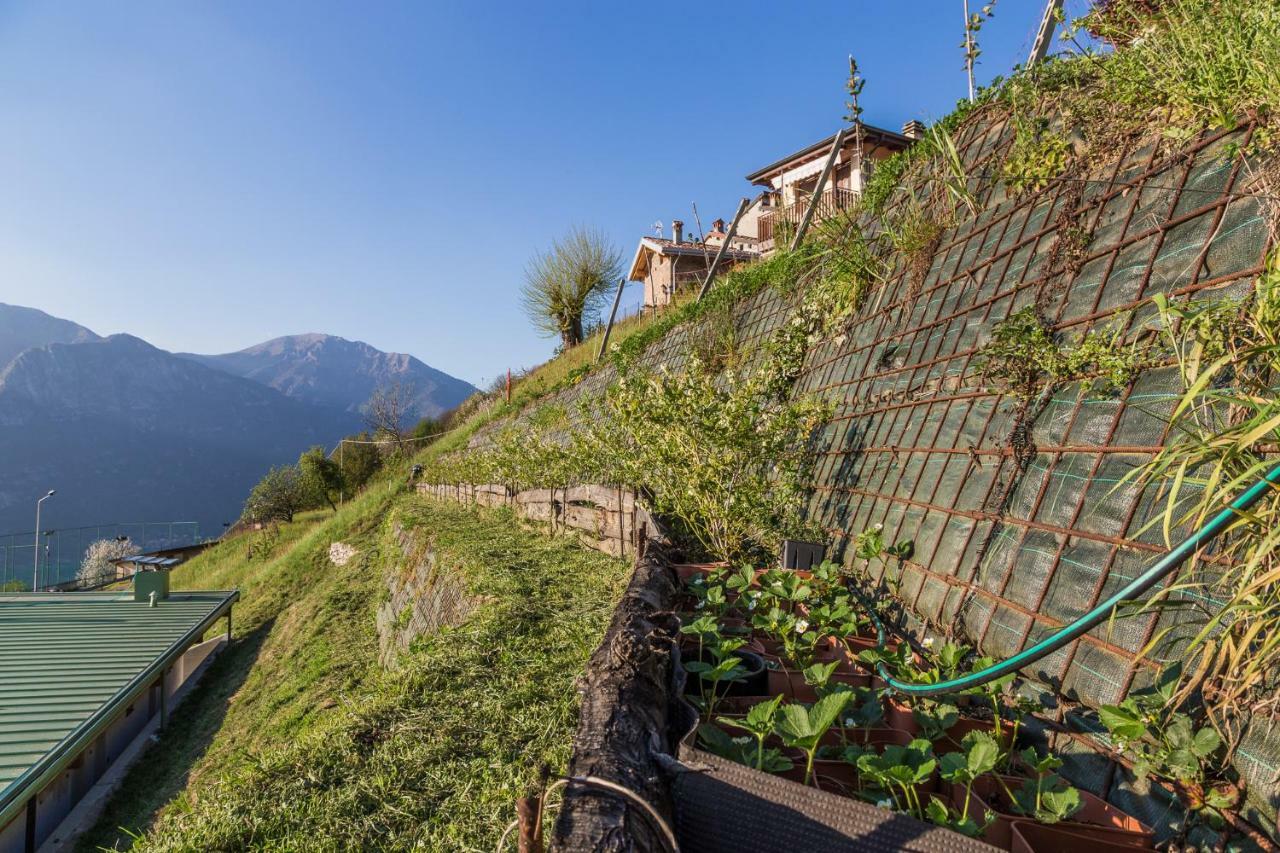 Agriturismo Alveare Sul Lago Pisogne Exteriér fotografie