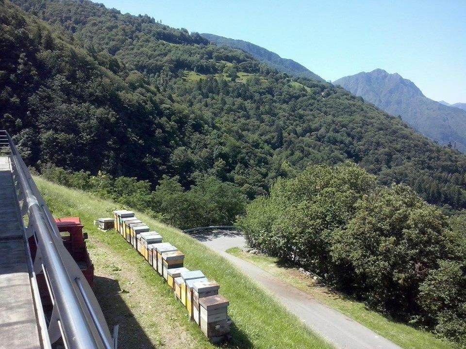 Agriturismo Alveare Sul Lago Pisogne Exteriér fotografie